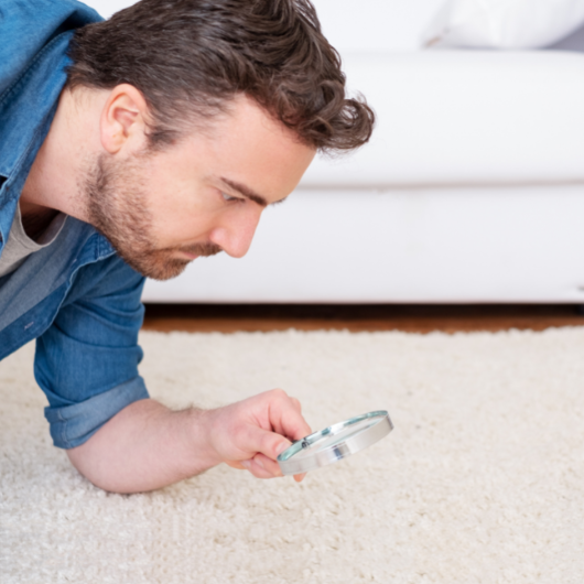 poratka és ágyi poloska kiirtása ózongenerátorral